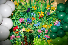 Balloon Flowers