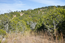 Commons Ford Ranch Park Hill