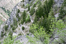 Trail Overlook