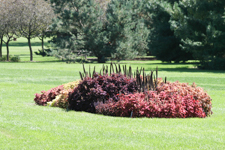 Noelridge Park