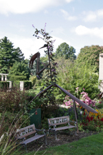 Praying Mantis Sculpture