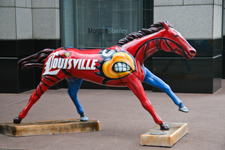 A Horse Divided