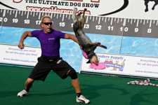 Dog Tricks
