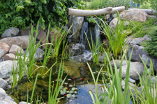 Wild Pond Waterfall
