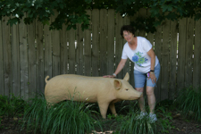 Pig Sculpture