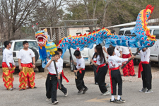 Dragon Dancers