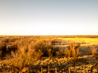 Kansas Landscape